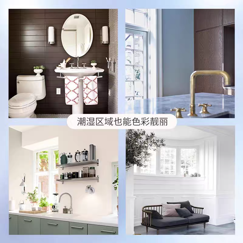 福乐阁Flugger原装进口Dekso20防潮防霉卫浴厨卫面漆涂料乳胶漆